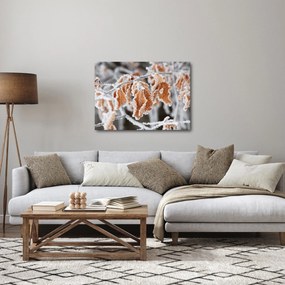 Obraz - Zamarznięte liście (70x50 cm)