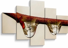 Obraz kropli na gałęzi (125x70 cm)