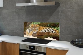 Szkło do Kuchni na Ścianę Tygrys Wspinający się na Drzewo