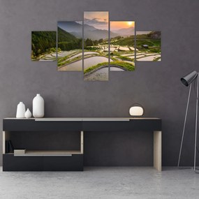 Obraz - Tarasy ryżowe (125x70 cm)
