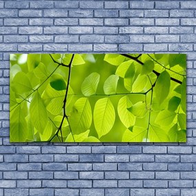 Zdjęcie na płótnie Botaniczny Detal Liści