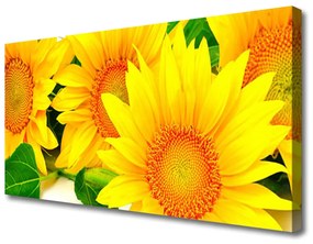 Obraz Canvas Słonecznik Kwiat Natura