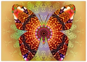 Obraz - Etno motyl (70x50 cm)