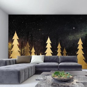 Fototapeta - Złota noc (196x136 cm)