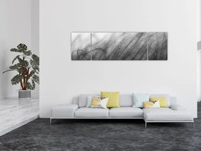 Obraz - Trawa na wietrze (170x50 cm)