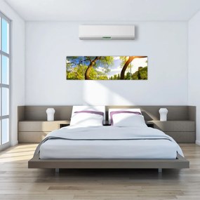 Obraz wiosennej łąki (170x50 cm)