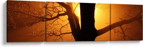 Obraz drzewa o zachodzie słońca (170x50 cm)