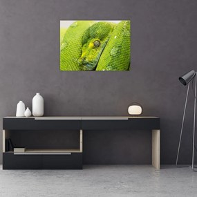 Obraz węża (70x50 cm)