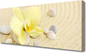 Obraz na płótnie Klasyczna Elegancja Kwiatów