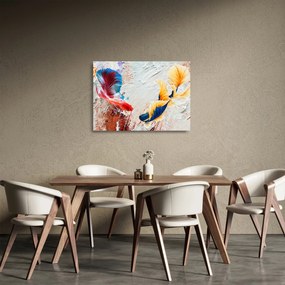 Obraz na szkle - Ryby bojowniki (70x50 cm)