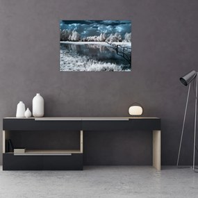 Obraz - Zamarznięty krajobraz (70x50 cm)