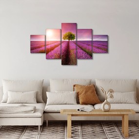 Obraz pola z lawendą (125x70 cm)