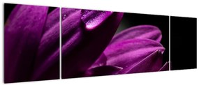 Obraz  - Kropla wody (170x50 cm)