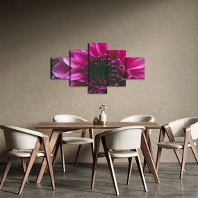 Obraz różowego kwiatu róży (125x70 cm)