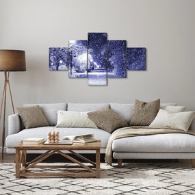 Obraz - Magiczna zimowa noc (125x70 cm)