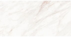 Mexen Forever Grey próbka gresu szkliwionego rekt. G1, płytka podłogowo-ścienna, połysk - TL139-00-S