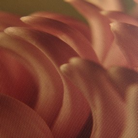 Obraz szczegółów kwiatu (170x50 cm)