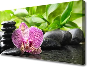Duży obraz na płótnie Harmonijne Połączenie Zen