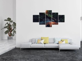 Obraz górskiej rzeki (125x70 cm)