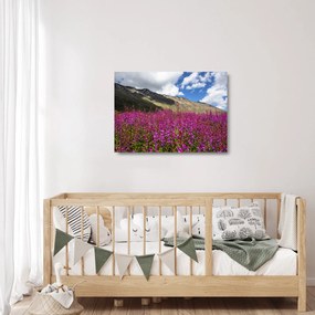 Obraz na szkle scenerii łąki górskiej (70x50 cm)