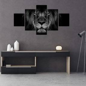 Obraz - lew i jego majestatyczność (125x70 cm)
