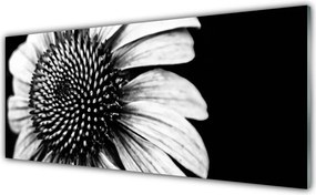 Szkło do Kuchni na Ścianę Rozkwitająca Natura