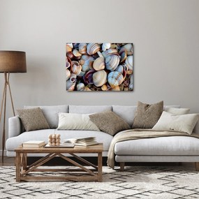 Obraz muszelek (70x50 cm)