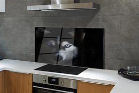 Panel Szklany Spojrzenie Dzikiego Wilka
