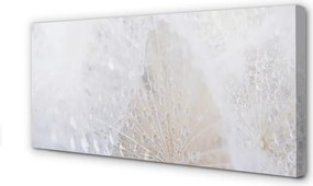 Fotoobraz na płótnie Abstrakcyjny Motyw Dmuchawca