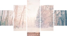Obraz - Widok na las (125x70 cm)