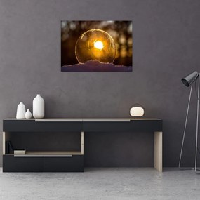 Obraz - Przezroczysta bańka (70x50 cm)