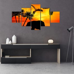 Obraz - papugi i słonie (125x70 cm)