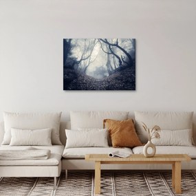 Obraz- Las we mgle (70x50 cm)