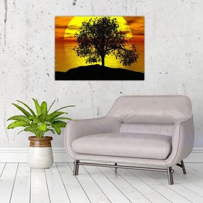 Obraz na szkle sylwetki drzewa (70x50 cm)