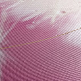 Obraz - Makro kwiat (170x50 cm)
