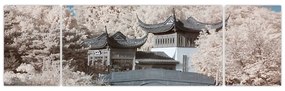 Obraz - Kwitnące drzewa w Azji (170x50 cm)
