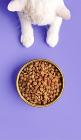 Silikonowa lampka nocna Miś dla dzieci LED USB + pilot