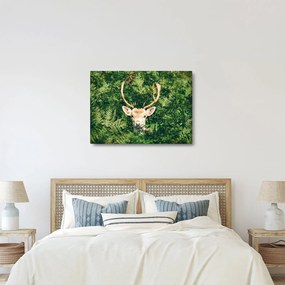 Obraz - szczegół głowy jelenia (70x50 cm)