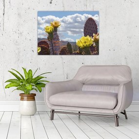 Obraz na szkle opuncji (70x50 cm)