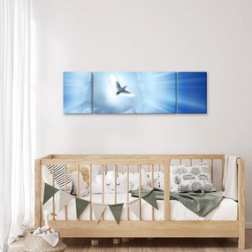 Obraz - Boska gołębica (170x50 cm)