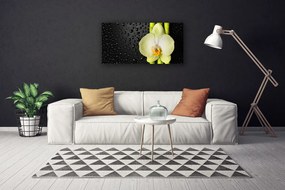 Duży obraz na płótnie Harmonijna Kompozycja Botaniczna