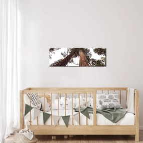 Obraz - Widok przez korony drzew (z zegarem) (90x30 cm)