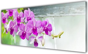 Panel Szklany do Kuchni Storczyki w Deszczowej Świeżości