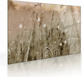 Obraz na szkle - Harmonious Meadow (70x50 cm)