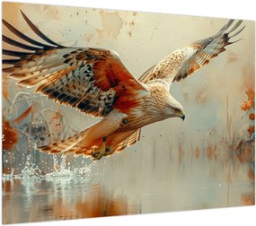 Obraz - Ptak drapieżny (70x50 cm)