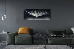 Obraz drukowany na płótnie Kryształowy Dmuchawiec w Makro