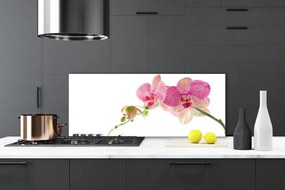 Panel nad blat kuchenny Bukiet Polnych Kwiatów