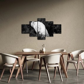 Obraz - Paw, czarno - biały (125x70 cm)