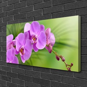 Obraz Canvas Storczyk Orchidea Kwiaty