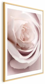 Plakat Porcelanowa róża 60x90 cm z ramą złotą z marginesem ARTGEIST B